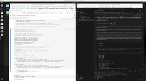 BioNeMo AI Framework